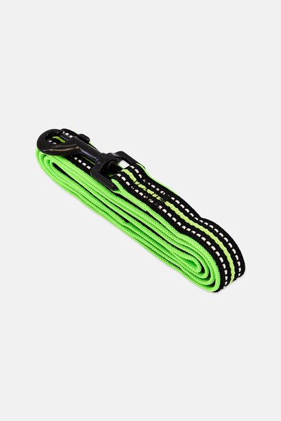Pawise Reflective Dog Collar