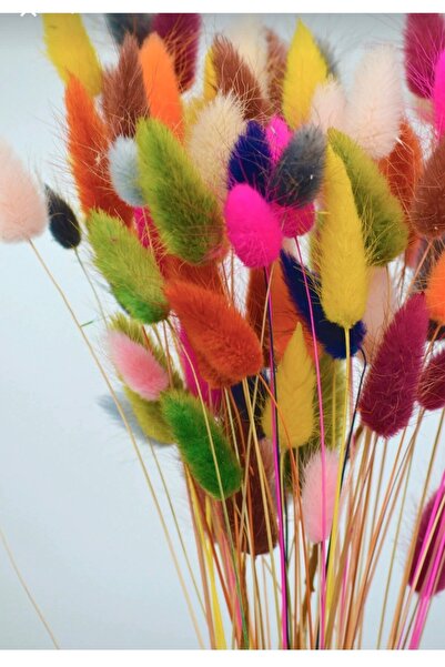 Handmade Rengarenk şoklanmış pamuk otu, kuru çiçek dekorasyon renkli