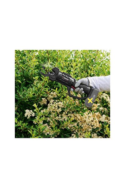 PARKSIDE Wireless Pruner PPAAS 20-Li, 20 V