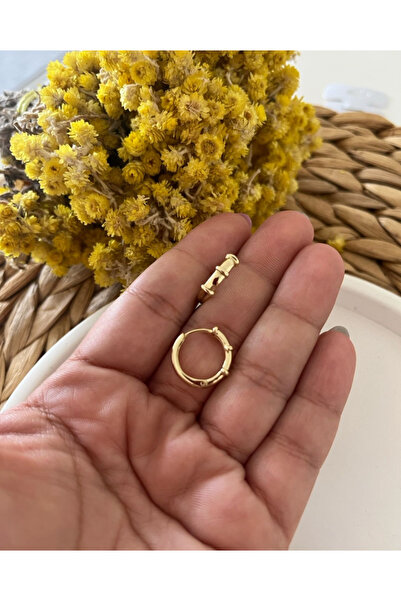 XP XUPİNG Xuping Miny Halka Küpe 14K