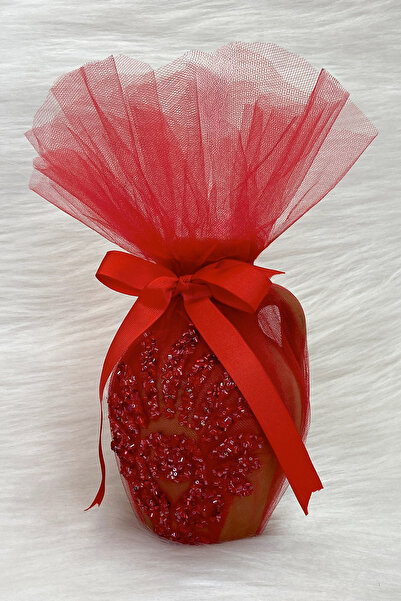 ZEYMERADE Red Luxury Applique Test, Ornate Bridal Henna Night Test, Wedding H...