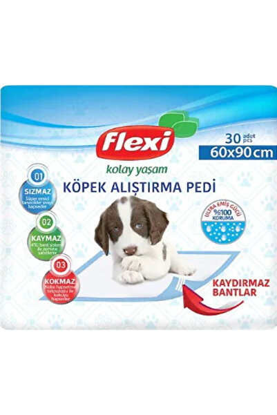 Flexi HAYVAN ALIŞTIRMA PEDI 60X90 CM.30'LU*2 PAKET