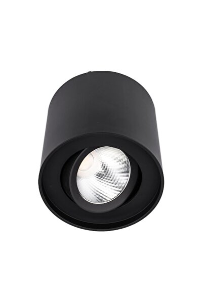OEM LED Spot Light, 10 W, 1270 lm, Neutral Light, 4000K, Adjustable, Matte Bl...