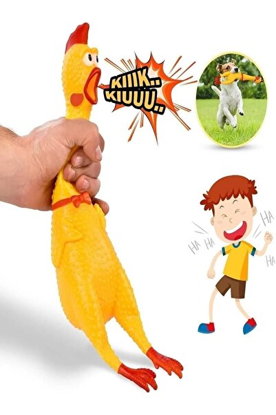 Tahtakale Dünyası Bağıran Öten Horoz Tavuk Sarı Renk Çığlık Atan Komik Horoz ...