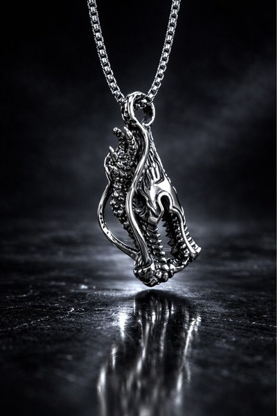 voyageaccessory Paslanmaz Çelik Dragon Gotik Tasarım Box Zincirli Ejderha Kolye