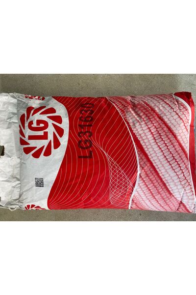 LG 31630 SLAJLIK MISIR TOHUMU
