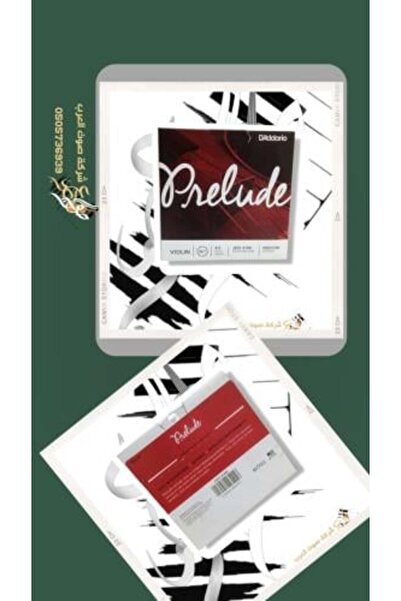 F4A D'Addario Proleido J 810 4/4