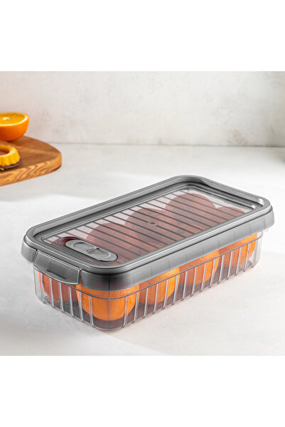 Home Box Neo Leon Storage Box - 2 L