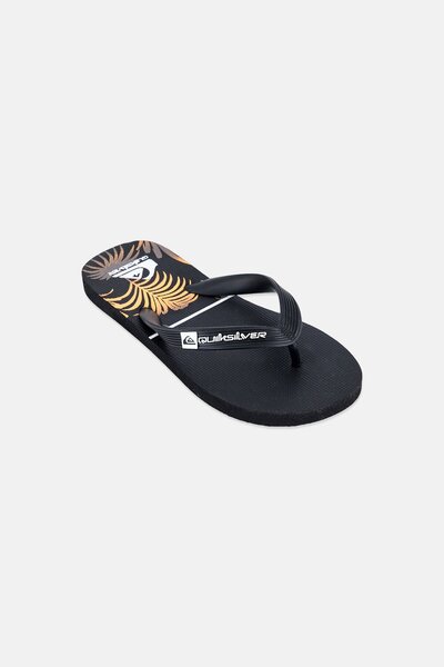 Quiksilver Kids Boy Brand Logo Slip On Slippers, Black