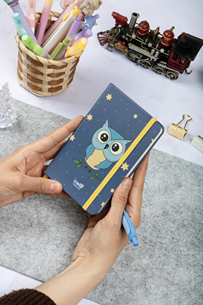 DİVAL 9X14 cm Hard Cover Striped Note School Notebooks - Owl 2