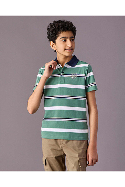 REDTAG Senior Boys Green Striped Polo Shirt