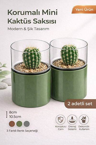 Binbirreyon 2 Adet Korumalı Kaktüs Saksısı Seti Şeffaf Korumalı 8x10,5cm Renk...