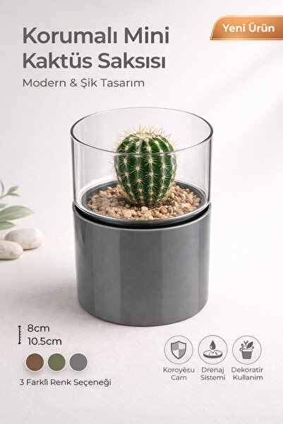 Binbirreyon Şeffaf Korumalı Mini Kaktüs Saksı 8x10,5cm Renkli Plastik AH188