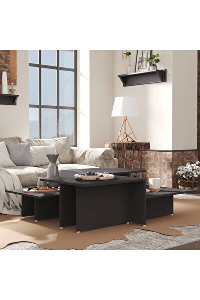 Concept Măsuțe de cafea, 2 buc., gri, 111,5x50x33 cm, lemn compozit