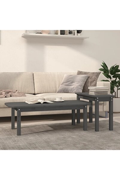 Concept Set măsuță de cafea, 2 piese, gri, lemn masiv de pin