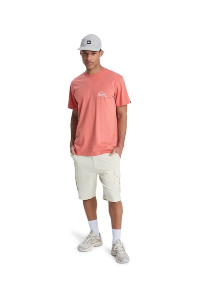 Quiksilver شعار EV MINI