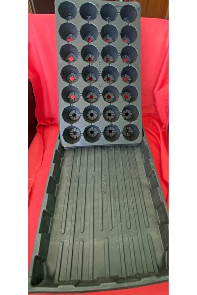 Starlight 28'Lİ VİYOL SAKSI+TEPSİ 5 TAKIM+1adet 50 mm'lik köklendirme hediye