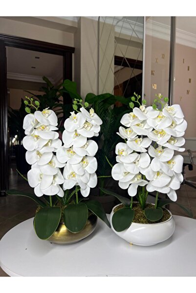 Acarya Design Beyaz Islak Yapay Orkide tekli