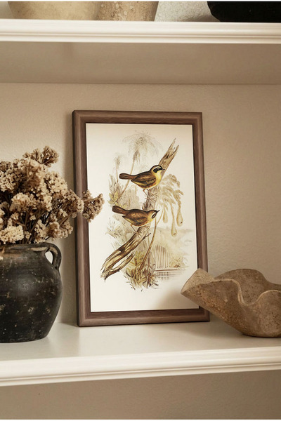 Zevahir Mobilya Dekorasyon Ahşap Çerçeve Görünümlü 1 Adet İkili Kuş Figürlü V...