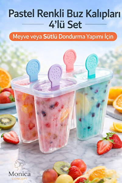 Monica Concept 4-Compartment Ice Cream Mold |   Reusable |   Homemade Ice Cre...