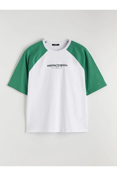 LC Waikiki White Crew Neck Color Block Men's T-Shirt