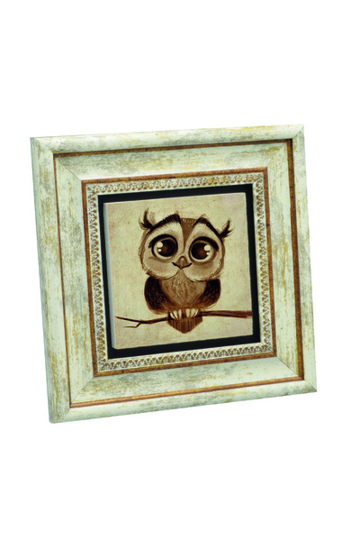 Sadrazam Owl Printed Natural Stone Painting 20X20Krg-163