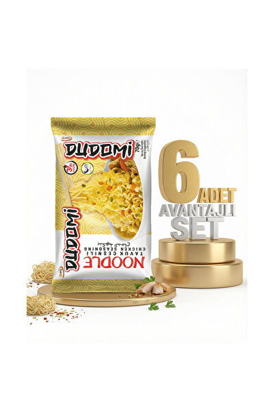 DUDOMİ Tavuk Çeşnili Noodle 6x70 Gr