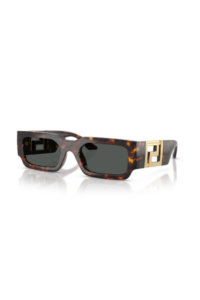 Versace Ve 4506U 108/87 54 Sunglasses