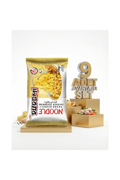 DUDOMİ Tavuk Çeşnili Noodle 9x70 Gr