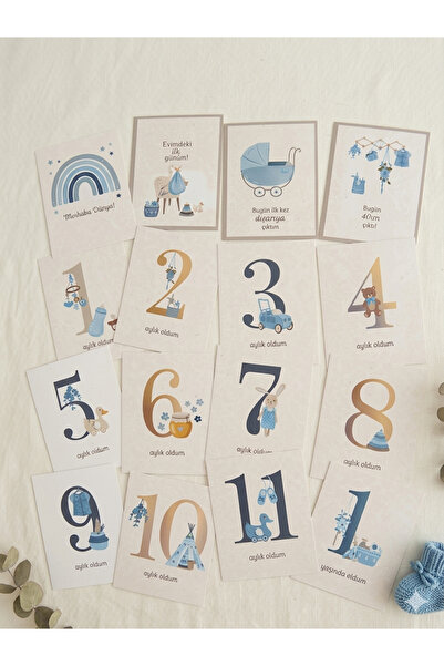 LoveStore Bebek Anı Kartı 16 Adet Bebek Hediyelik Bebek Aylık Anı Kartları Fo...