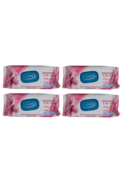 HYGIENA XXL Wipes, 4 x 100 Pieces, for Cleaning Surfaces, Garden Flowers Scent