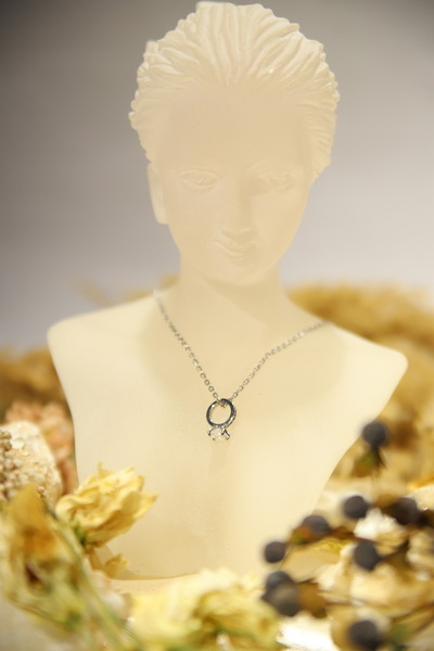 CHARM Circle Grace Necklace – Minimal with Sparkle