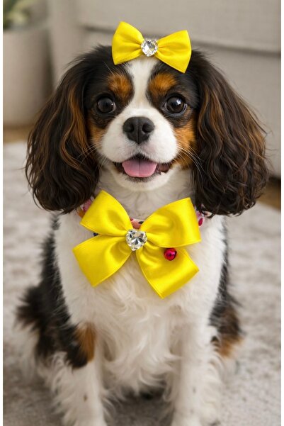 Hubjua طقم مشبك طوق فاخر للقطط والكلاب مكون من مرصّع بالأحجار قطعة، طقم إكسسو...