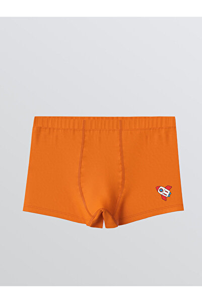 LC Waikiki Vizyon New Season Printed Boys' Boxer