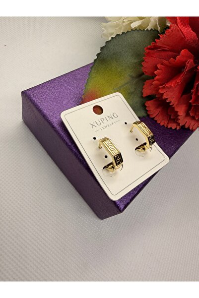 XUPING JEWELRY Jeweler's Series Labyrinth Model Ring Steel Earrings