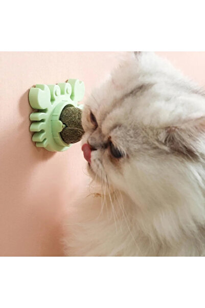 Livenda كرة لعب عشبة السلطعون للقطط