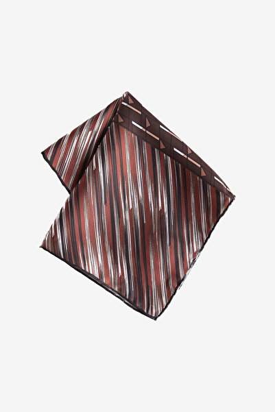 AC&Co / Altınyıldız Classics Men's Brown Patterned Handkerchief