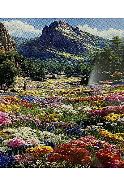 EleganTShoP 5D Yapışan Boncuk Mozaik Tablo 30*40 cm XQH92281