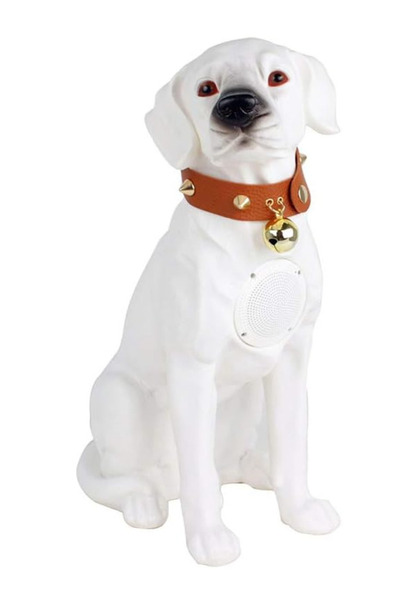 Amir Labrador Portable Speaker WHITE With Bluetooth CH M211M USB Card Reader ...