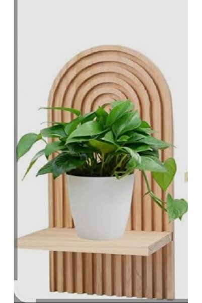 Vuslat Hediyelik Modern Dekoratif MDF 18mm Duvar rafı (30x22 cm)