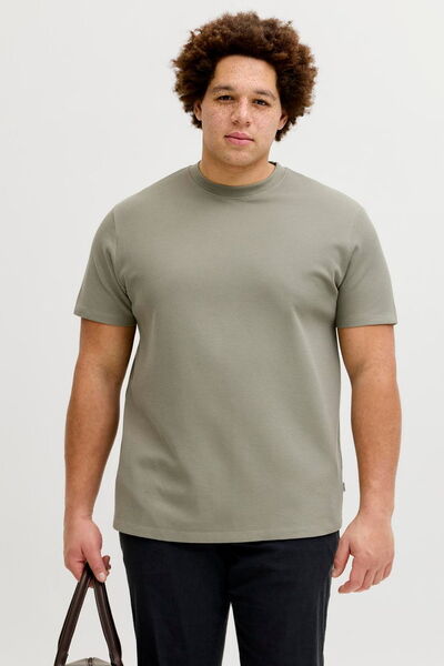 Jack & Jones Plus Size Round Neck T-Shirt - Austin
