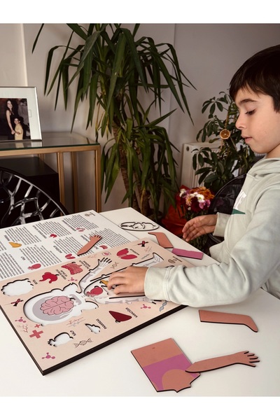 Mantarre Montessori Çocuk Anatomi Puzzle | İnsan Vücudu Organları Eğitici Oyu...