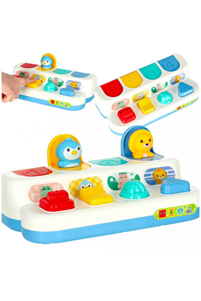 Ikonka Jucarie educativa pentru copii pop up, cu butoane in diferite forme si...