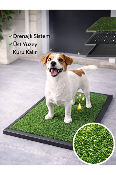 BEYLİNİ Köpek Çim Tuvalet Matı Pet Kedi Plastik Havuzlu Drenajlı Kaka Çiş Ped...