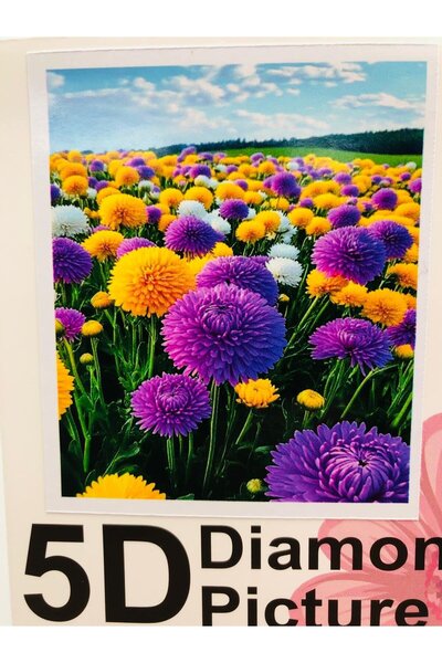 DUCK HOBY 50x40 Boncuklu Taş Mozaik Elmas Goblen Pano Tablo Resim Boncuk Puzz...