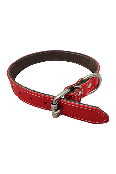 Ropet Zgarda pentru caine din piele naturala, dublata, 65cm x 30mm, Rosu,