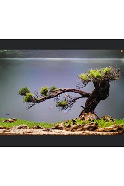 OSSOFOL Kendinden yapışkanlı akvaryum arka fon kumlama filmi 60 cm x 2 metre ...