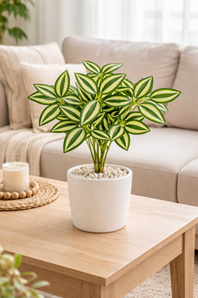 çiçek rengi dekor Premium Green Waxflower Artificial Plant 35 cm – Realistic ...