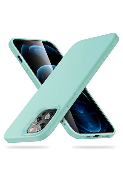 ESR Θήκη Cloud για iPhone 12/12 Pro σε άριστη κατάσταση