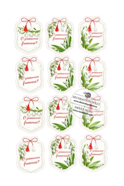 Decoratiuni Dulci Snowdrops with martisor | edible image - Cut out